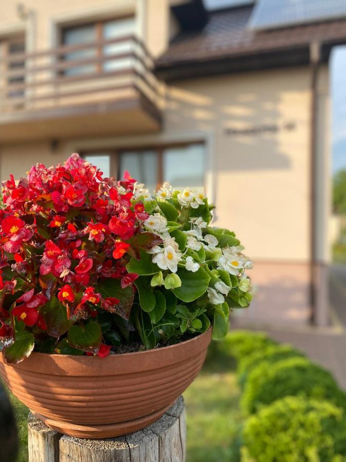 U Agi Nowogród Exterior foto