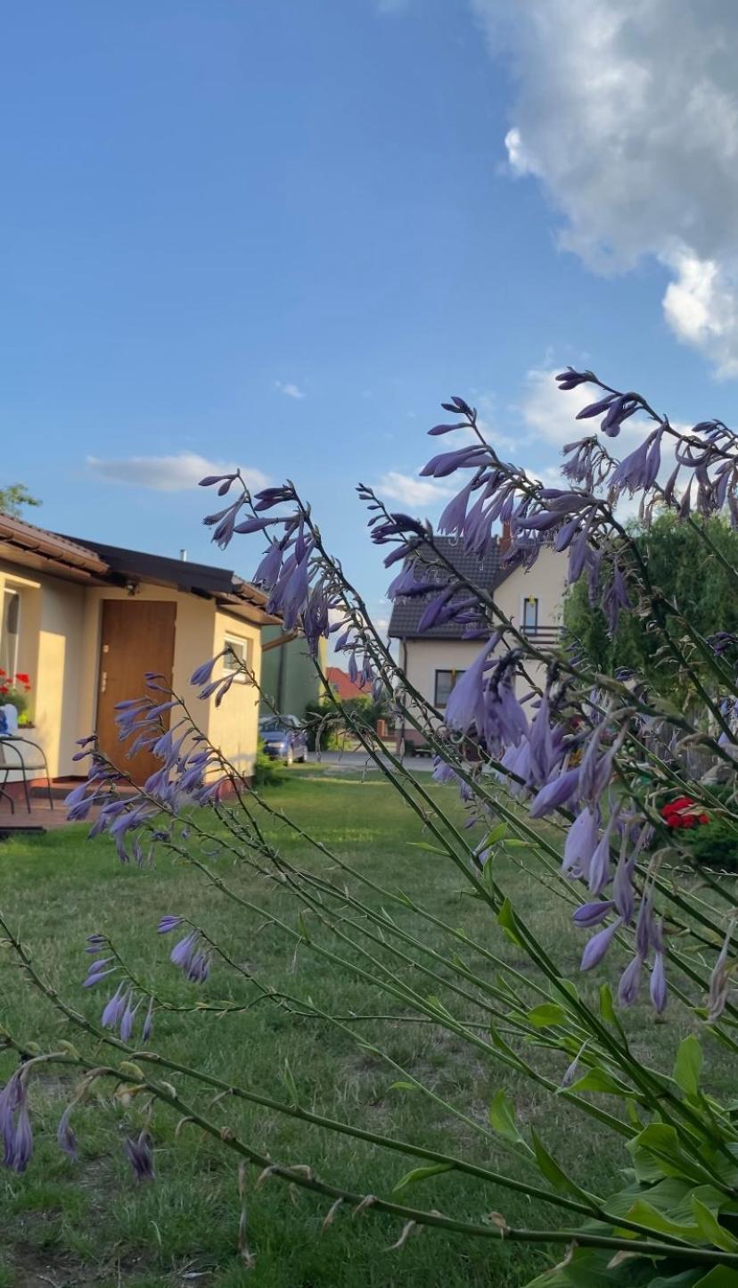 U Agi Nowogród Exterior foto